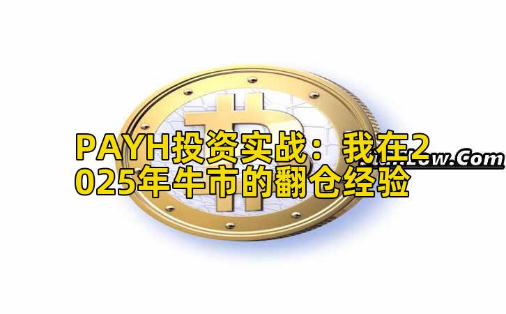 PAYH投资实战:我在2025年牛市的翻仓经验