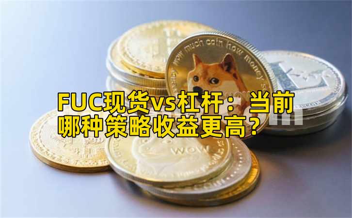 FUC现货vs杠杆:当前哪种策略收益更高?