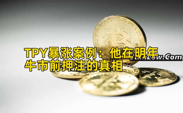 TPY暴涨案例：他在明年牛市前押注的真相