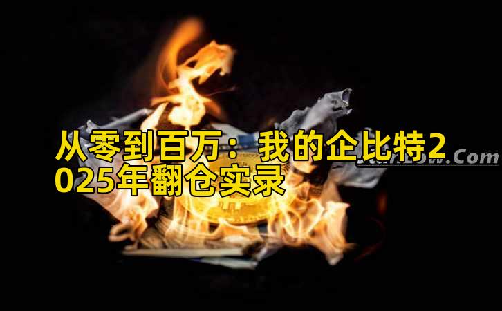 从零到百万:我的企比特2025年翻仓实录