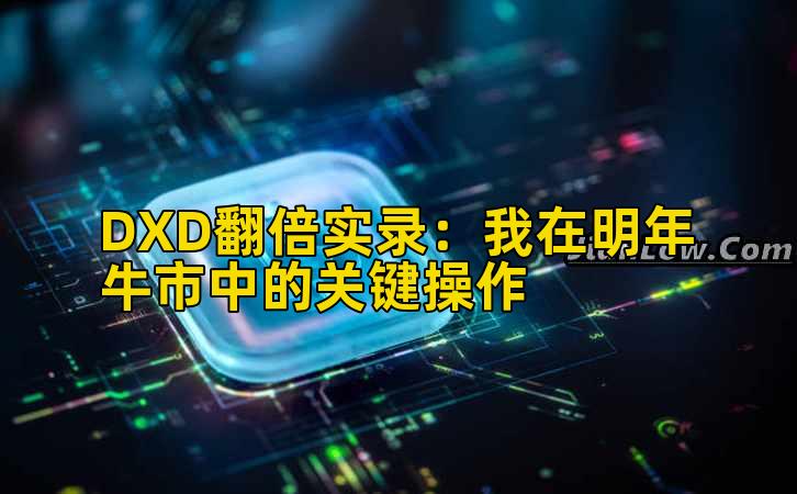 DXD翻倍实录:我在明年牛市中的关键操作