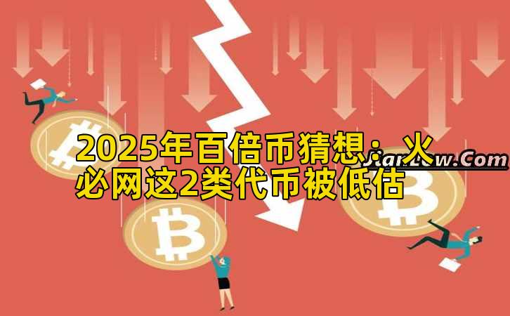 2025年百倍币猜想：火必网这2类代币被低估