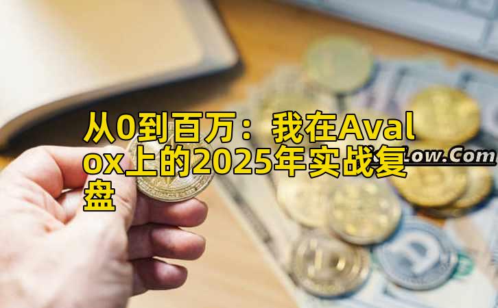 从0到百万:我在Avalox上的2025年实战复盘