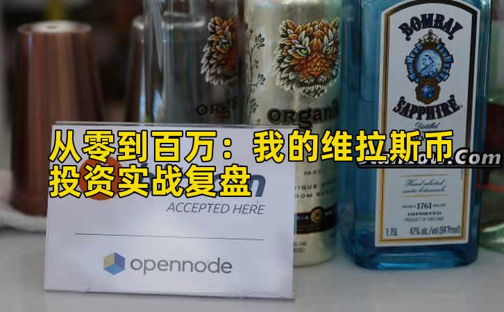 2026年行情分析:我的维拉斯币投资实战复盘