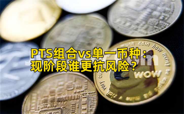 PTS组合vs单一币种：现阶段谁更抗风险？