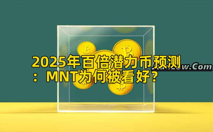 2025年百倍潜力币预测：MNT为何被看好？