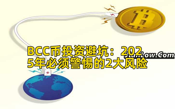 BCC币投资避坑:2025年必须警惕的2大风险