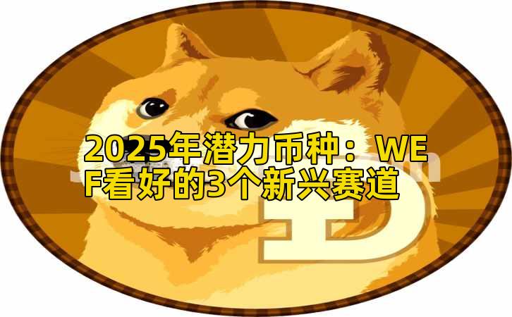 2025年潜力币种：WEF看好的3个新兴赛道