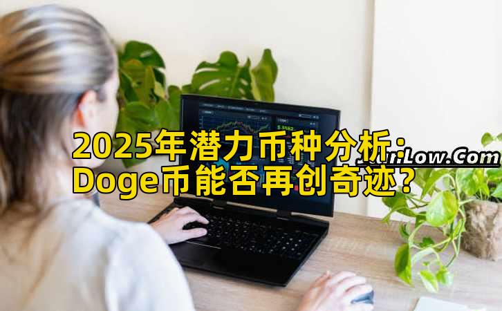 2025年潜力币种分析：Doge币能否再创奇迹？