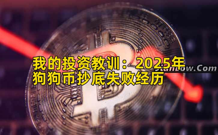 我的投资教训:2025年狗狗币抄底失败经历