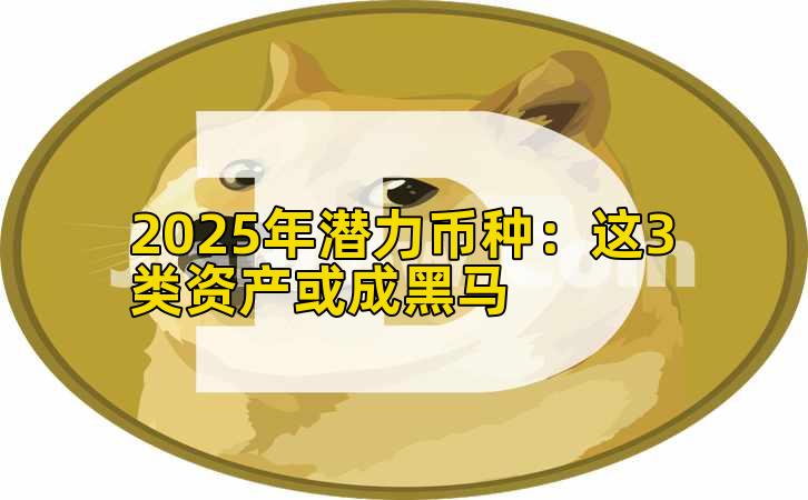 2025年潜力币种：这3类资产或成黑马