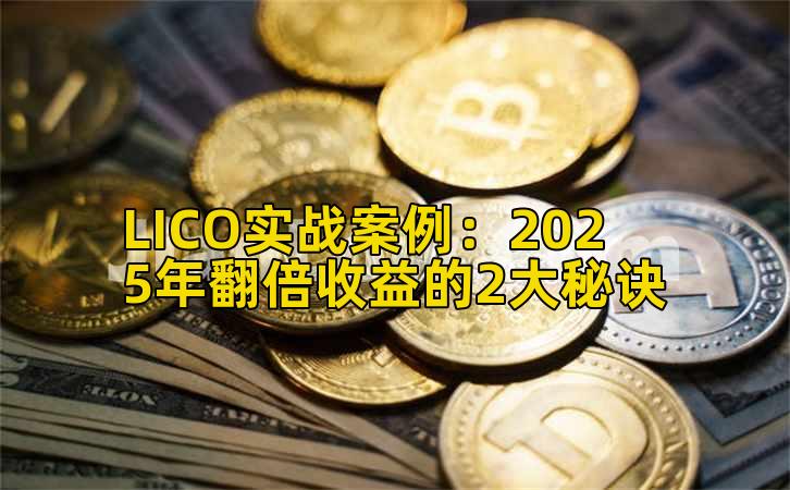 LICO实战案例：2025年翻倍收益的2大秘诀
