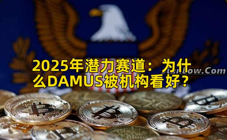2025年潜力赛道：为什么DAMUS被机构看好？