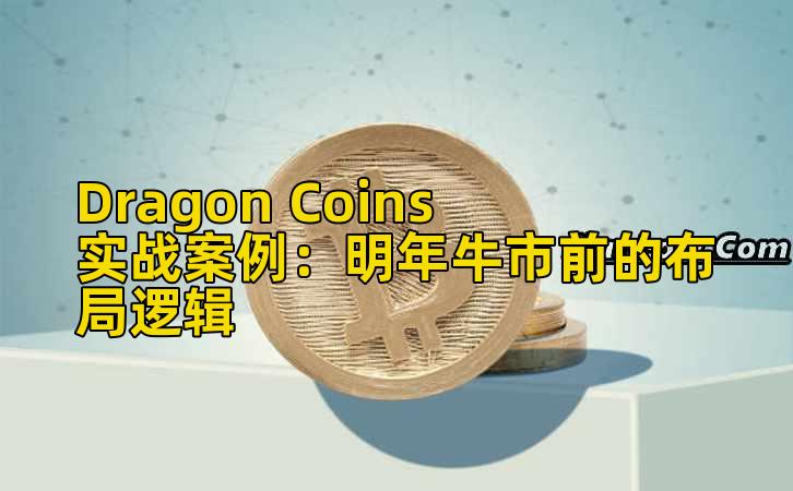 Dragon Coins实战案例:明年牛市前的布局逻辑