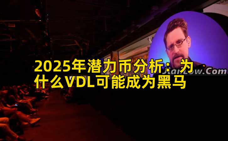 2025年潜力币分析：为什么VDL可能成为黑马