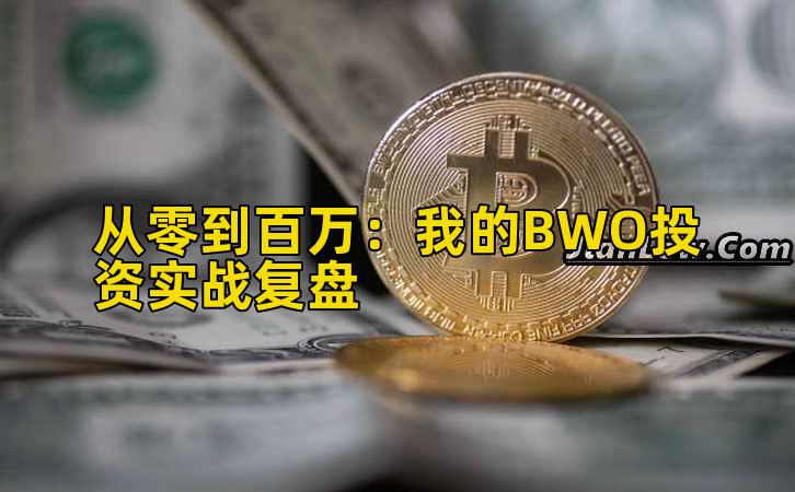 2026年行情分析:我的BWO投资实战复盘