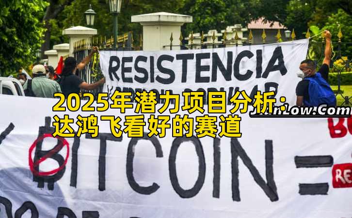 2025年潜力项目分析：达鸿飞看好的赛道