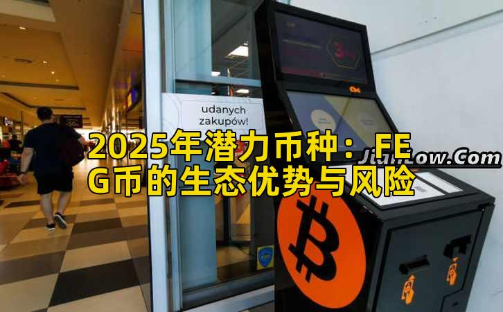 2025年潜力币种：FEG币的生态优势与风险