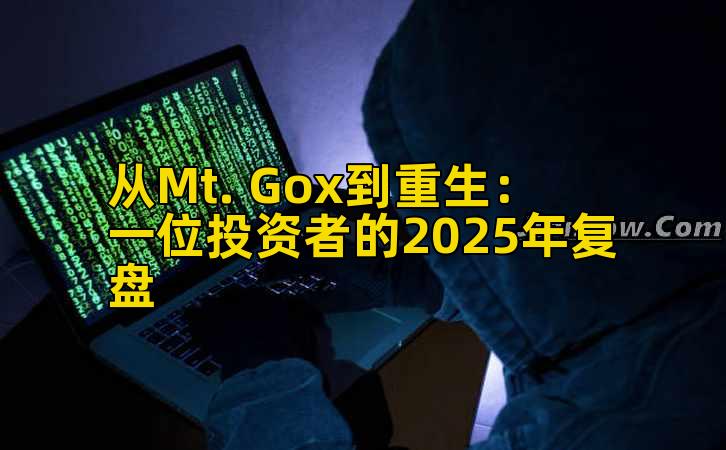 从Mt. Gox到重生:一位投资者的2025年复盘