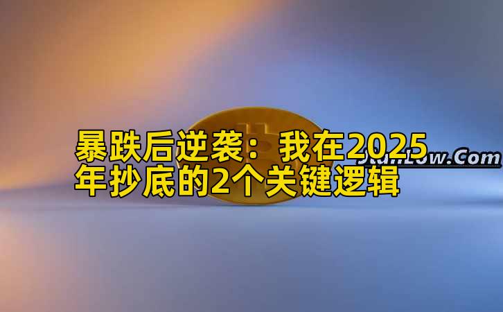 暴跌后实战:我在2025年抄底的2个关键逻辑