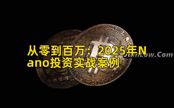 从零到百万：2025年Nano投资实战案例
