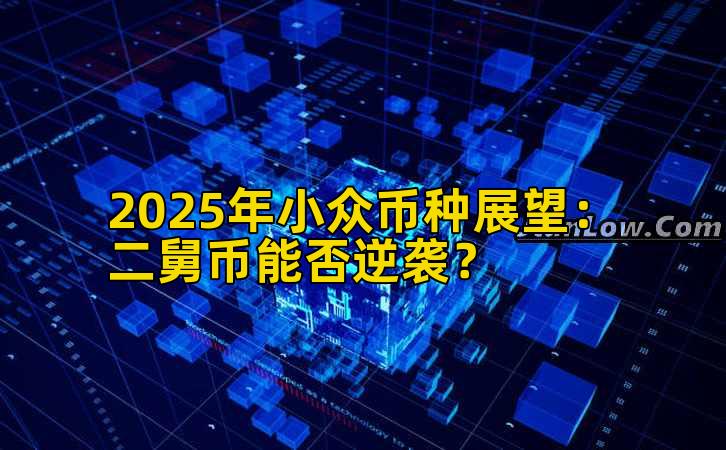 2025年小众币种展望：二舅币能否逆袭？