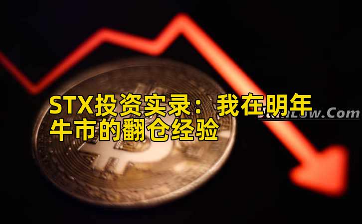 STX投资实录：我在明年牛市的翻仓经验