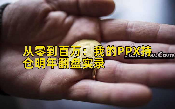 从零到百万:我的PPX持仓明年翻盘实录