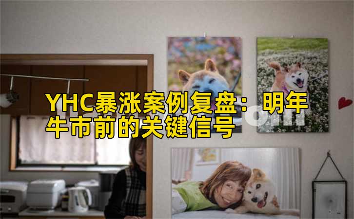 YHC暴涨案例复盘:明年牛市前的关键信号
