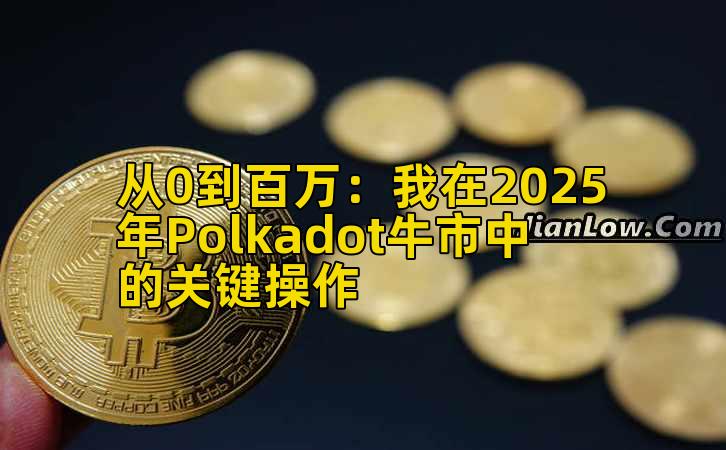 从0到百万：我在2025年Polkadot牛市中的关键操作