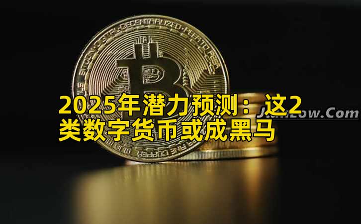 2025年潜力预测：这2类数字货币或成黑马