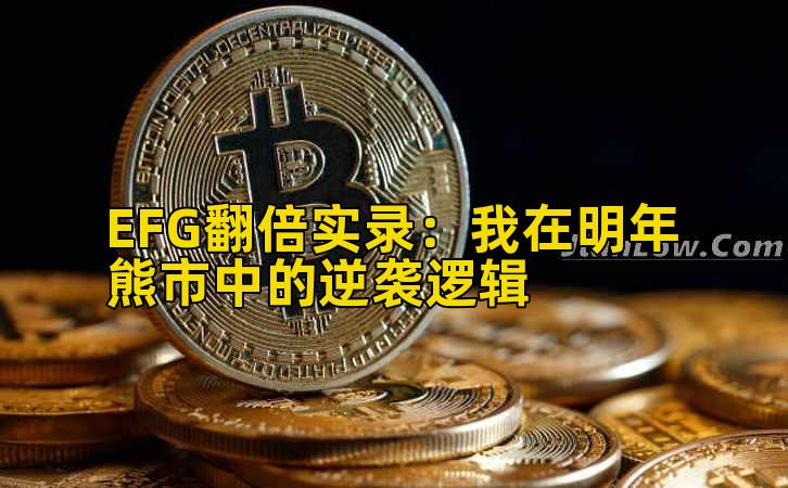 EFG翻倍实录：我在明年熊市中的逆袭逻辑