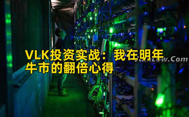 VLK投资实战：我在明年牛市的翻倍心得