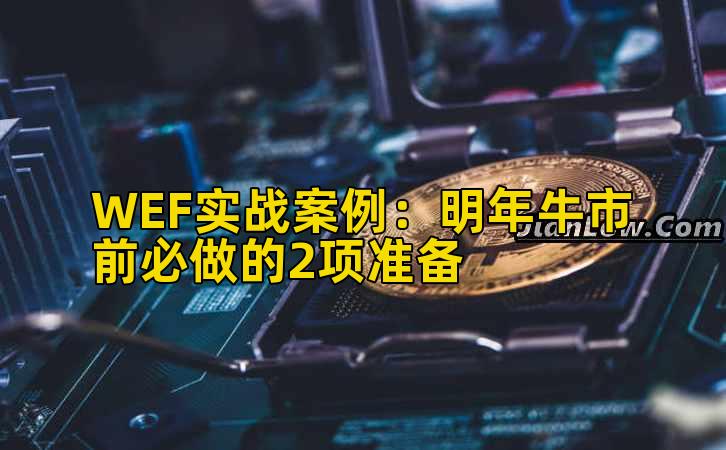 WEF实战案例：明年牛市前必做的2项准备