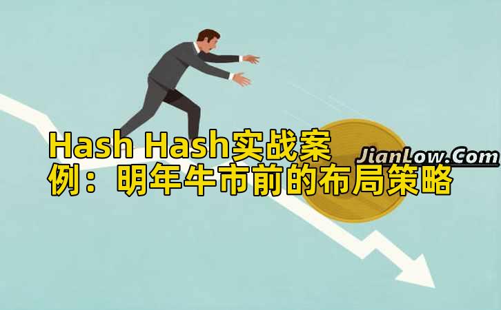 Hash Hash实战案例:明年牛市前的布局策略