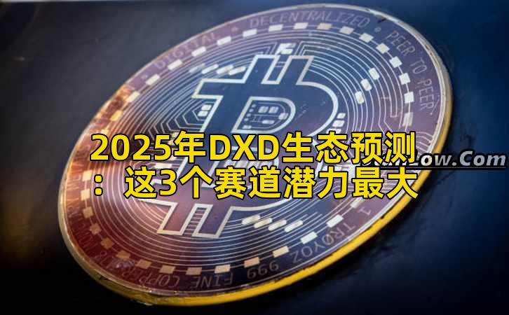 2025年DXD生态预测：这3个赛道潜力最大