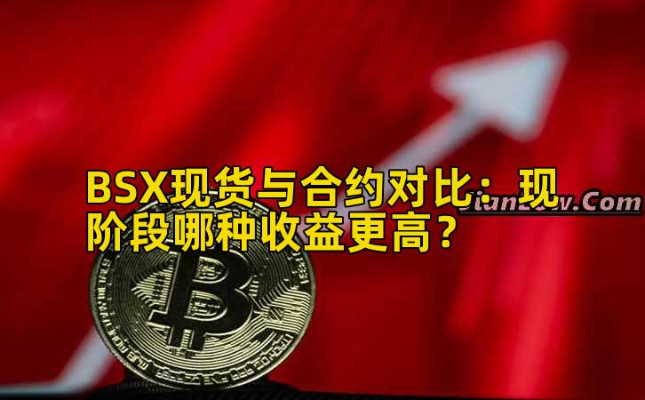BSX现货与合约对比:现阶段哪种收益更高?