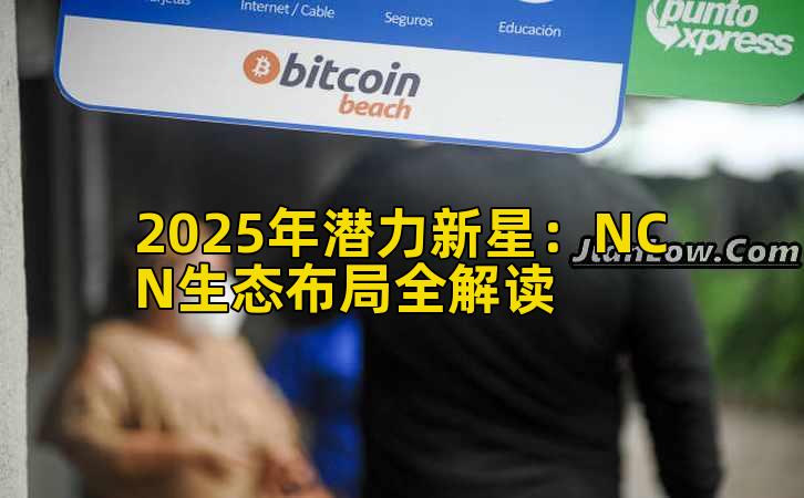2025年潜力新星：NCN生态布局全解读