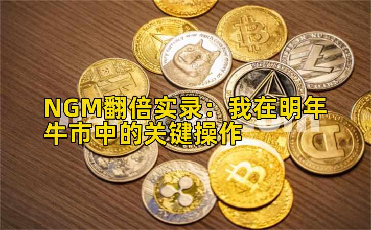 NGM翻倍实录：我在明年牛市中的关键操作