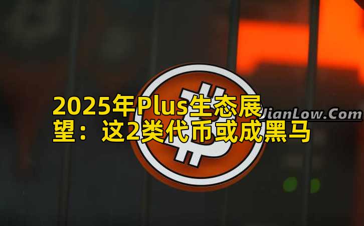 2025年Plus生态展望：这2类代币或成黑马