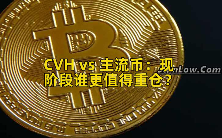 CVH vs 主流币：现阶段谁更值得重仓？