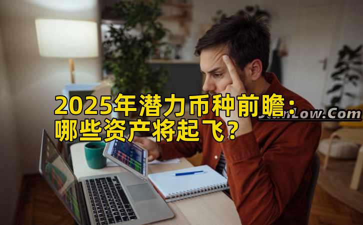 2025年潜力币种前瞻：哪些资产将起飞？