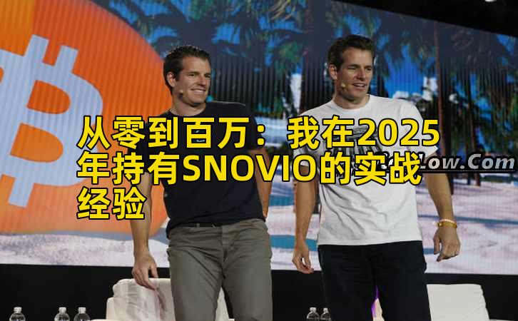 2026年行情分析：我在2025年持有SNOVIO的实战经验