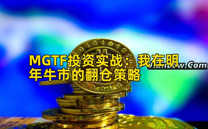 MGTF投资实战:我在明年牛市的翻仓策略
