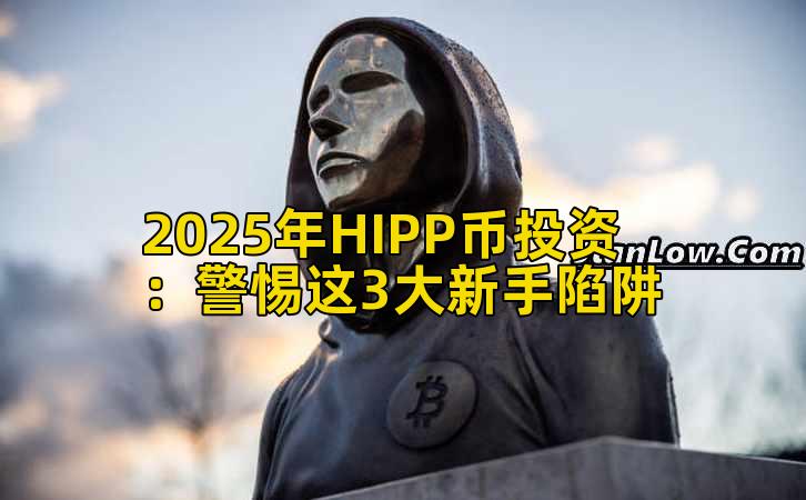 2025年HIPP币投资：警惕这3大新手陷阱