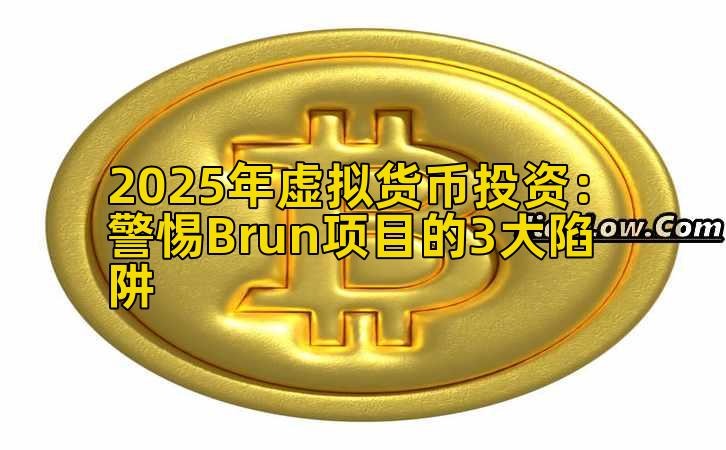 2025年虚拟货币投资：警惕Brun项目的3大陷阱