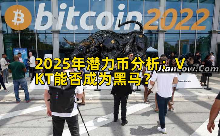 2025年潜力币分析：VKT能否成为黑马？