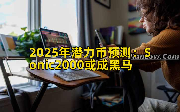 2025年潜力币预测：Sonic2000或成黑马