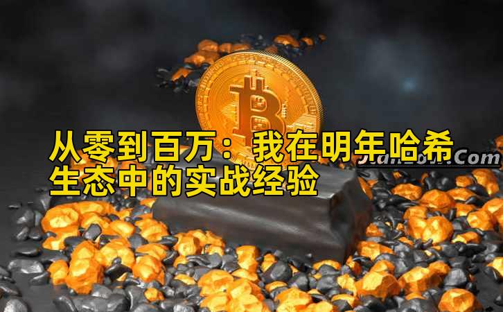 从零到百万：我在明年哈希生态中的实战经验