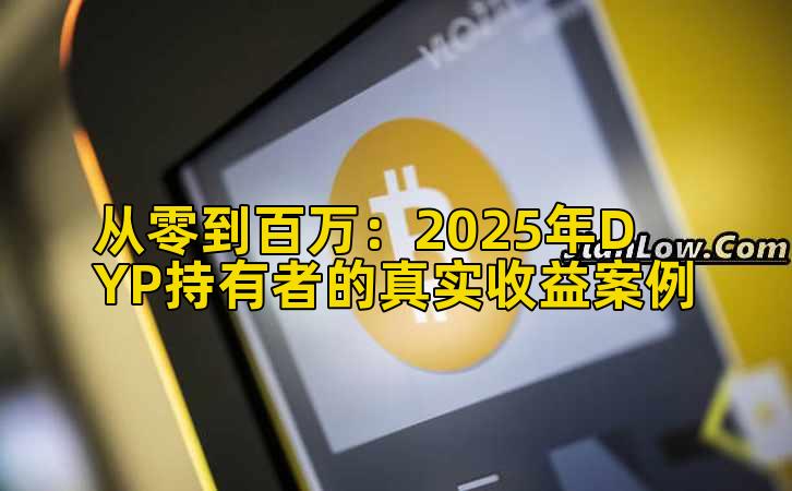 从零到百万:2025年DYP持有者的真实收益案例